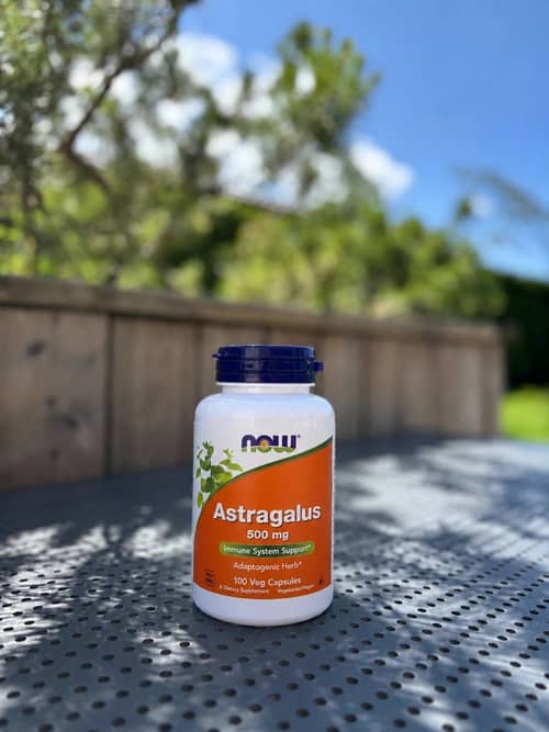 Astragalus 500 mg, Now Foods