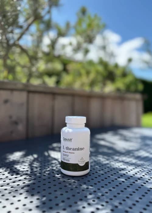 L - theanine Ostrovit, 90 kaps.