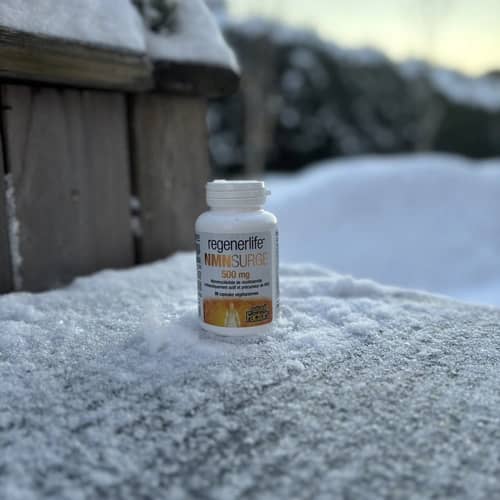 NMN 500 mg Natural Factors, 30 kaps.